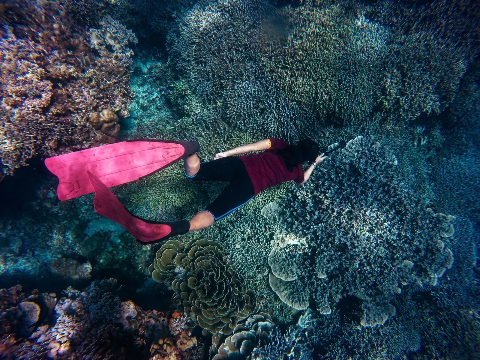 Apnéiste en combinaison et palmes longues glissant au-dessus d'un récif corallien dense, comme sur les spots d'Amed à Bali