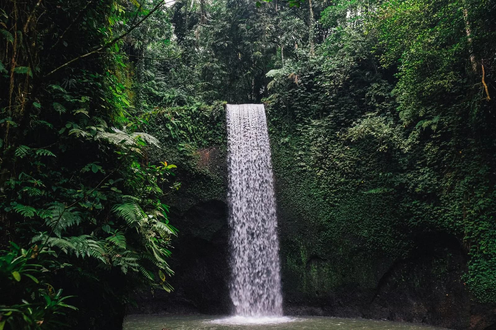 Cascade de jungle à Bali à découvrir lors d'une excursion à la journée avec chauffeur