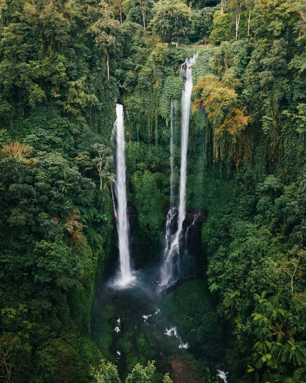 Les chutes de Sekumpul tombant côte à côte dans un cirque de jungle du nord de Bali