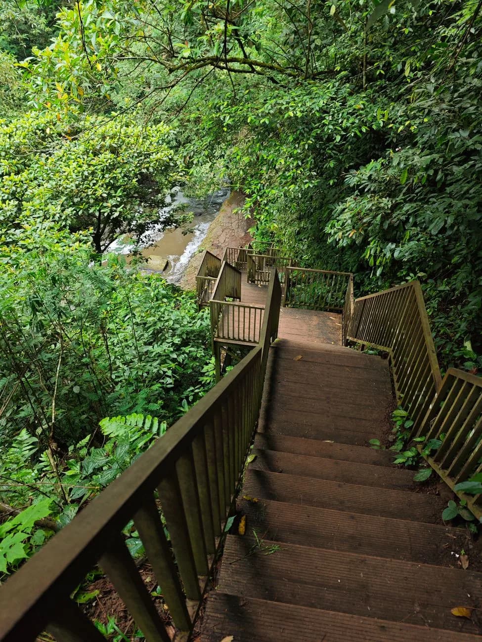 Escalier de bois descendant dans la jungle vers une rivière, accès typique d'une cascade à Bali