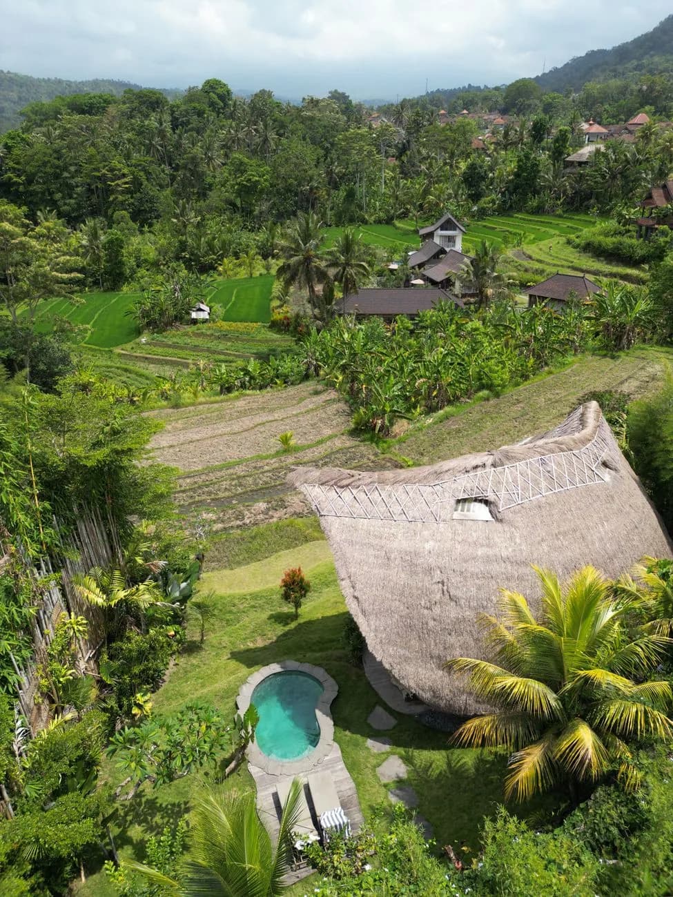 Pavillon au grand toit de chaume et petite piscine au bord de rizières en terrasses, dans l'intérieur de Bali