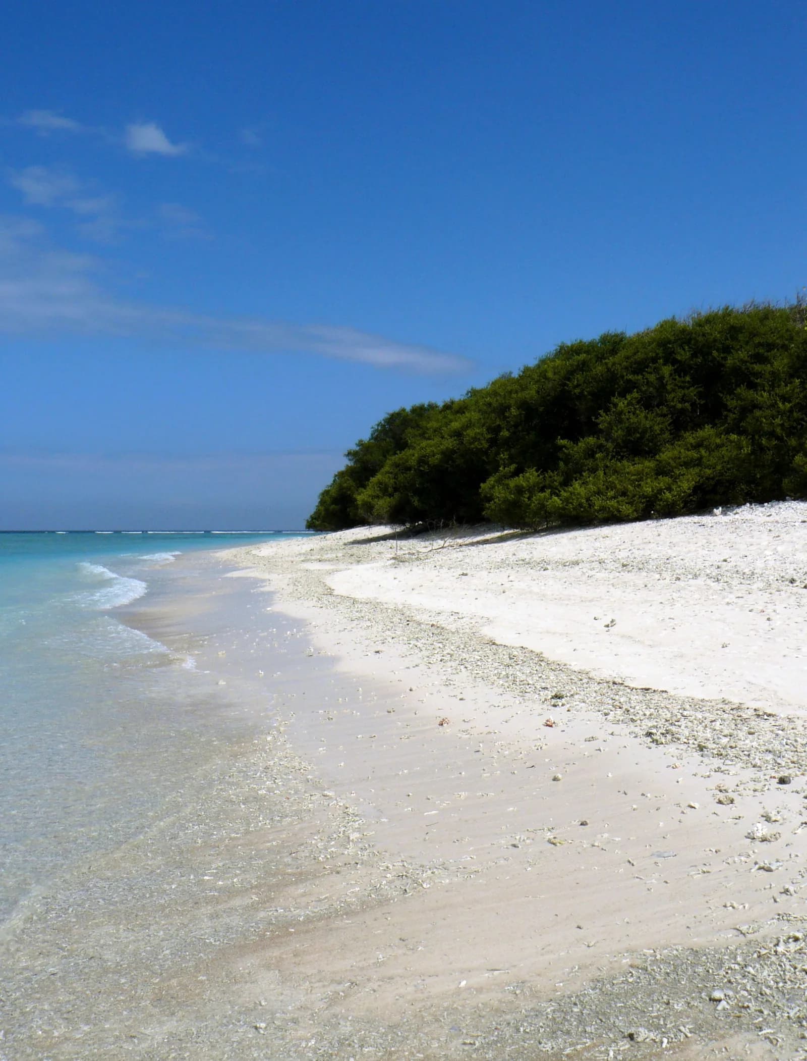 Plage de sable blanc corallien et eau turquoise sur la côte de Gili Trawangan