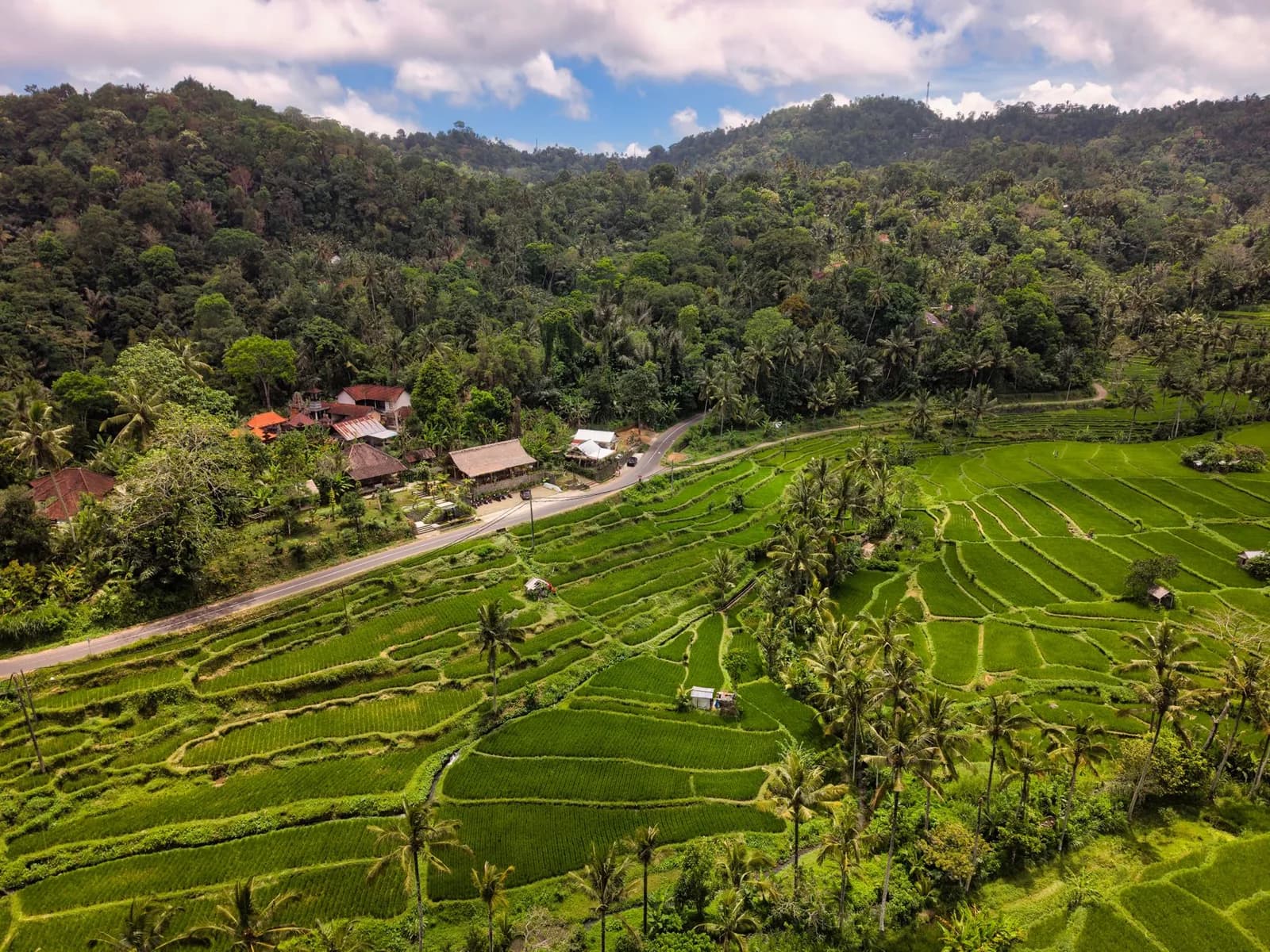 Rizières en terrasses et hameau traversé par une route dans l'intérieur de Bali