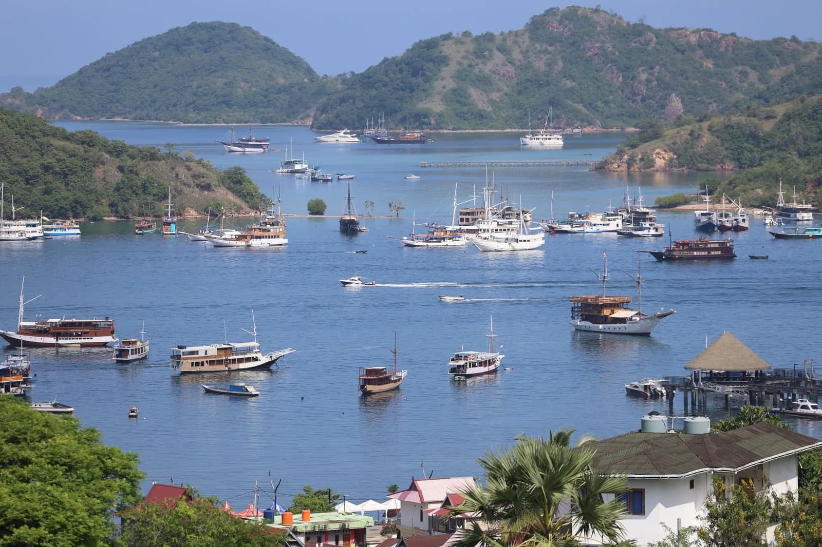 Port de Labuan Bajo sur l'île de Flores, avec les bateaux d'excursion au mouillage