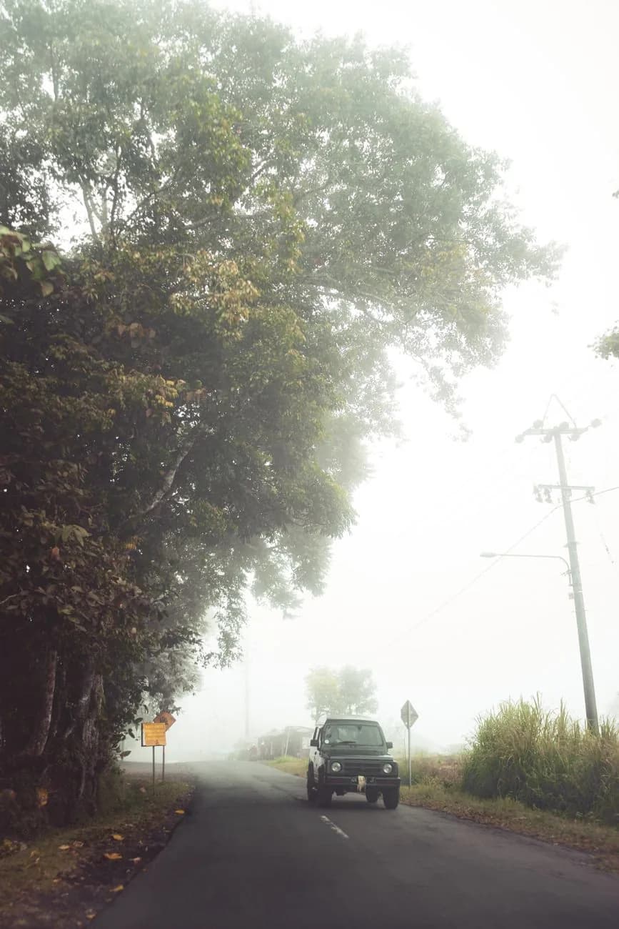 Véhicule 4x4 roulant dans le brouillard sur une route de montagne bordée de grands arbres, dans les hauteurs de Bali