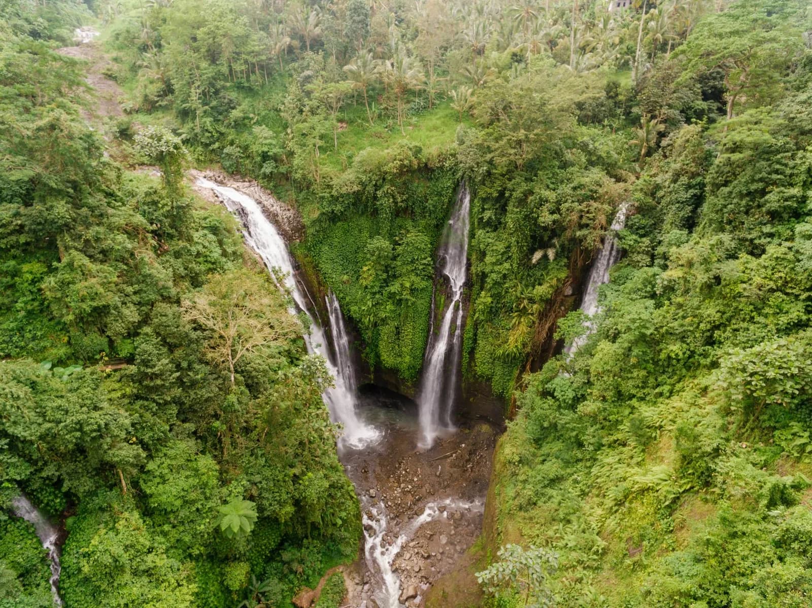 Vue aérienne de chutes d'eau dans un ravin boisé du nord de Bali
