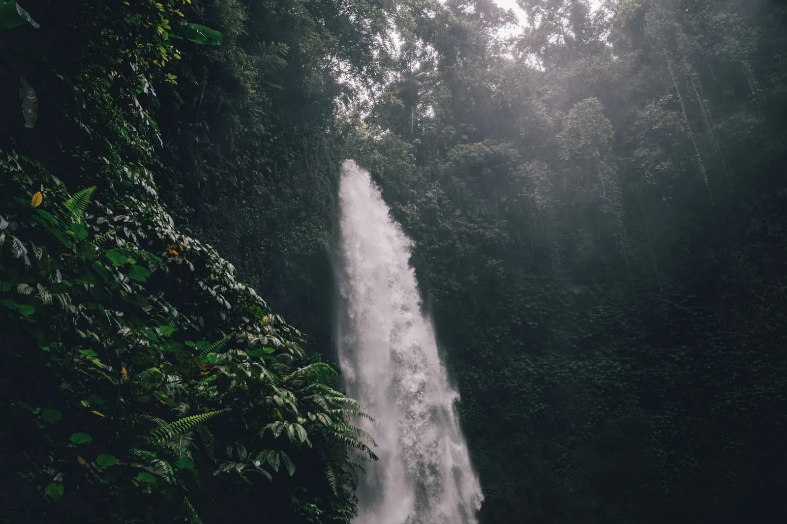 Haute cascade dans la forêt tropicale de montagne du nord de Bali