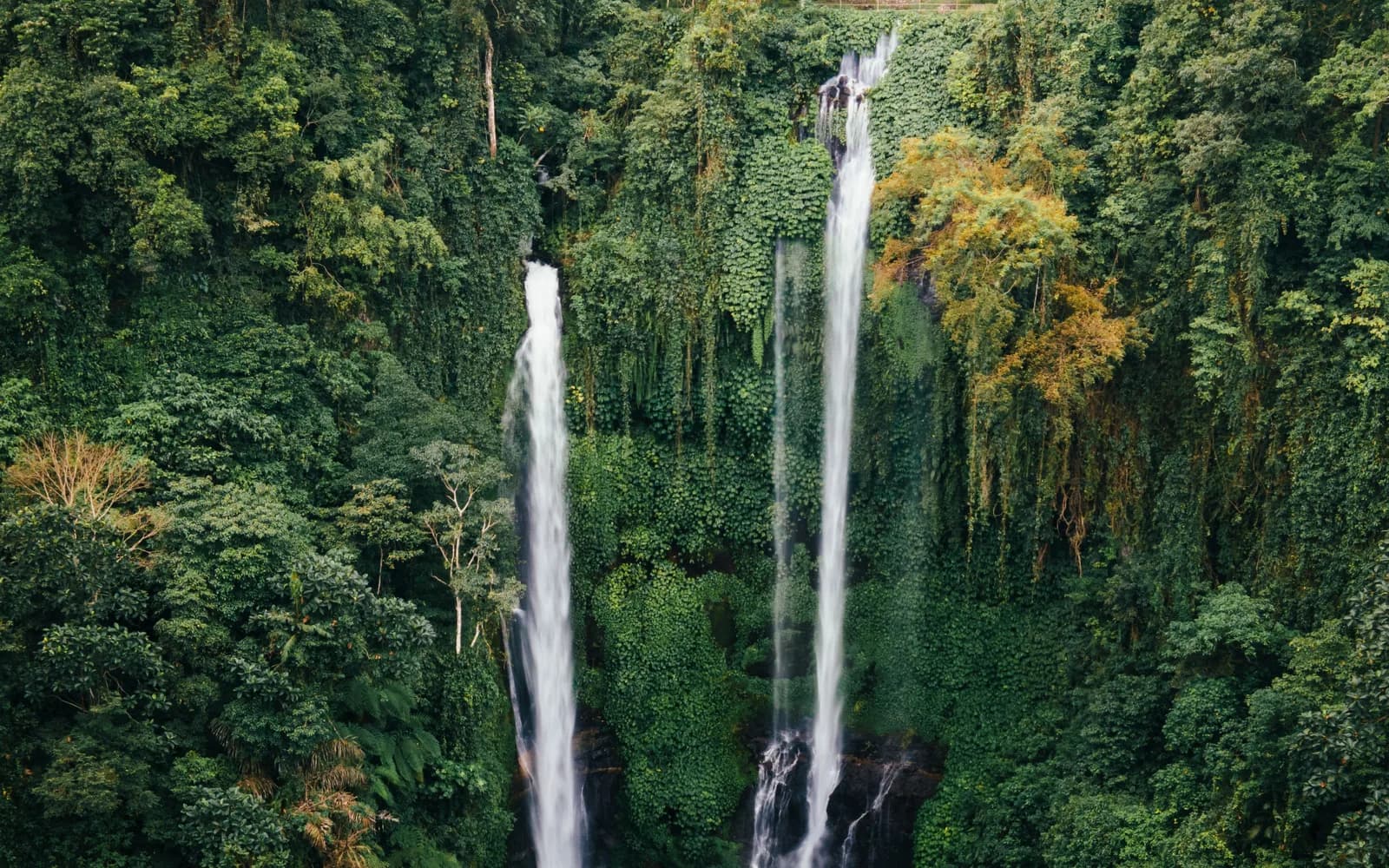 Deux hautes chutes d'eau dans la jungle de Sekumpul, au nord de Bali