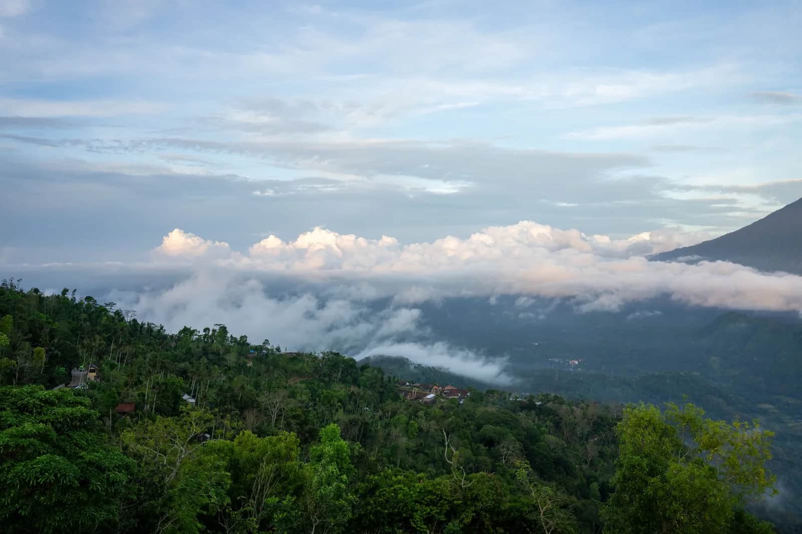 Collines boisées et nuages dans les hautes terres du nord de Bali