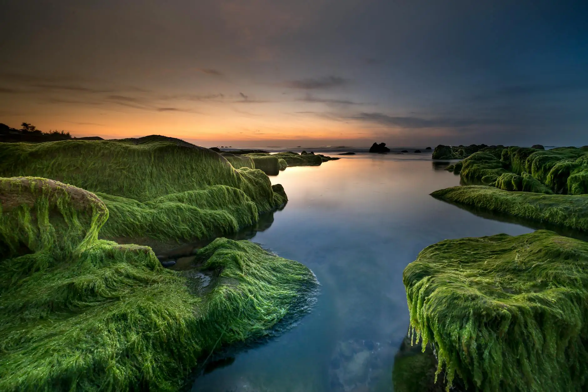 Ubud