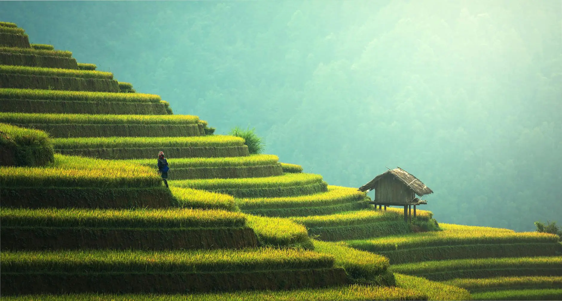 Ubud, cadre naturel pour travailler