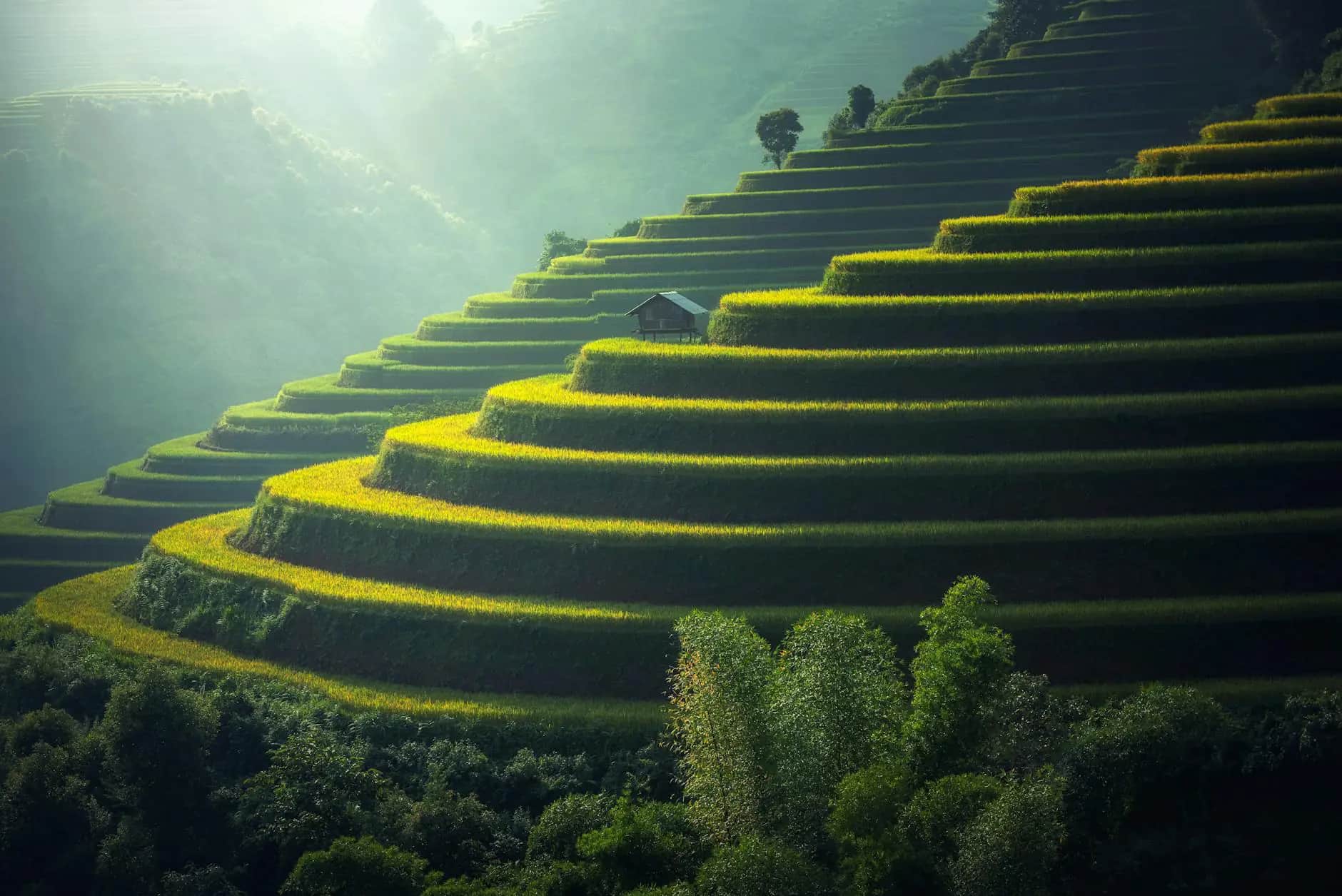 Marché traditionnel à Bali