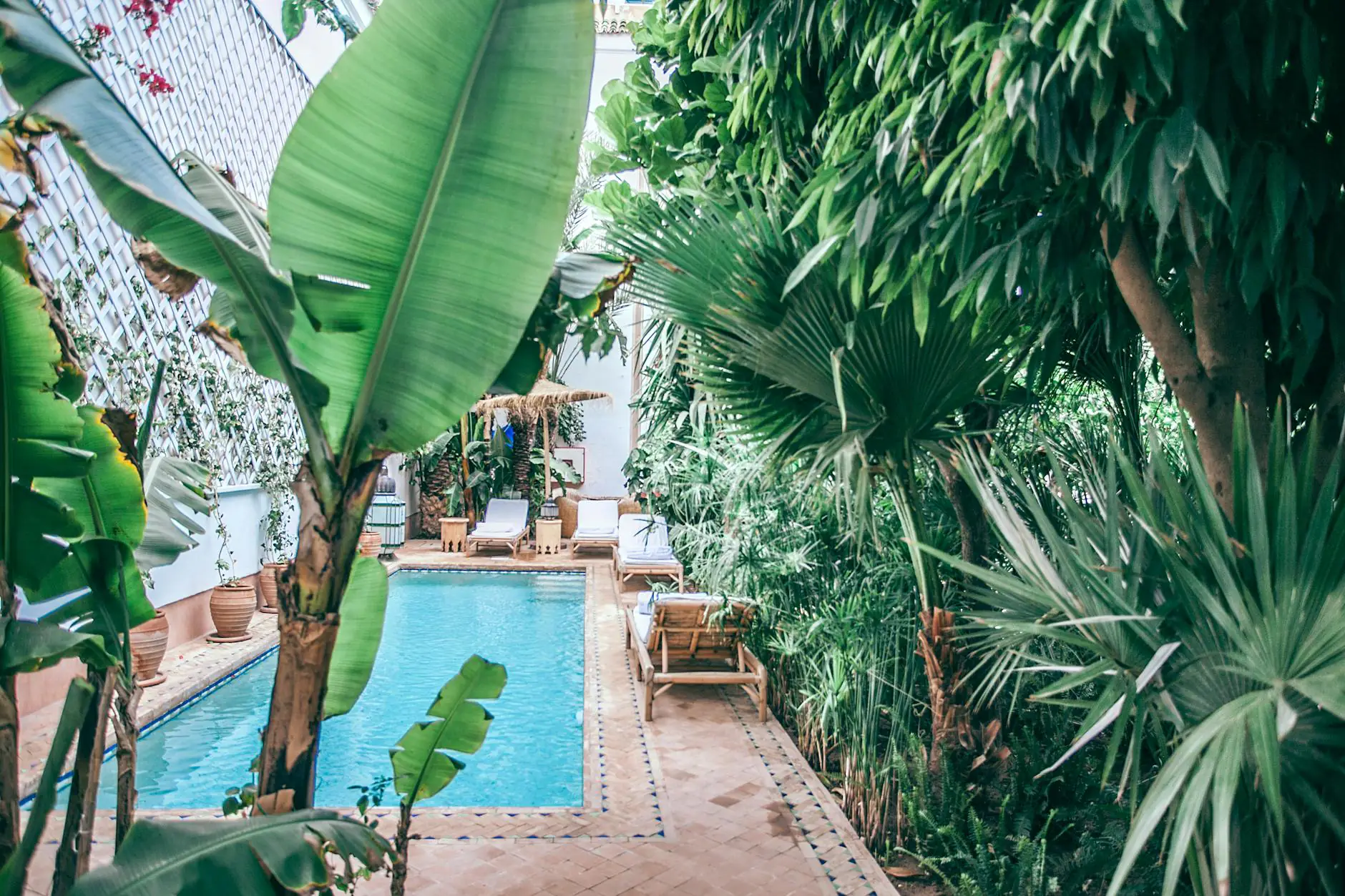 Canggu, quartier populaire pour les digital nomads