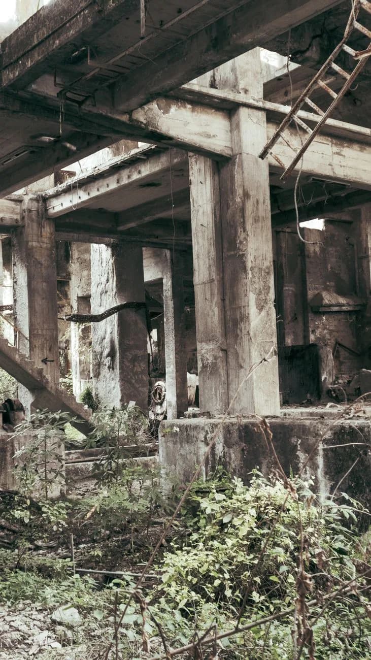 Structure de béton abandonnée, poteaux et poutres repris par la végétation, comme sur le site du Taman Festival au nord de Sanur