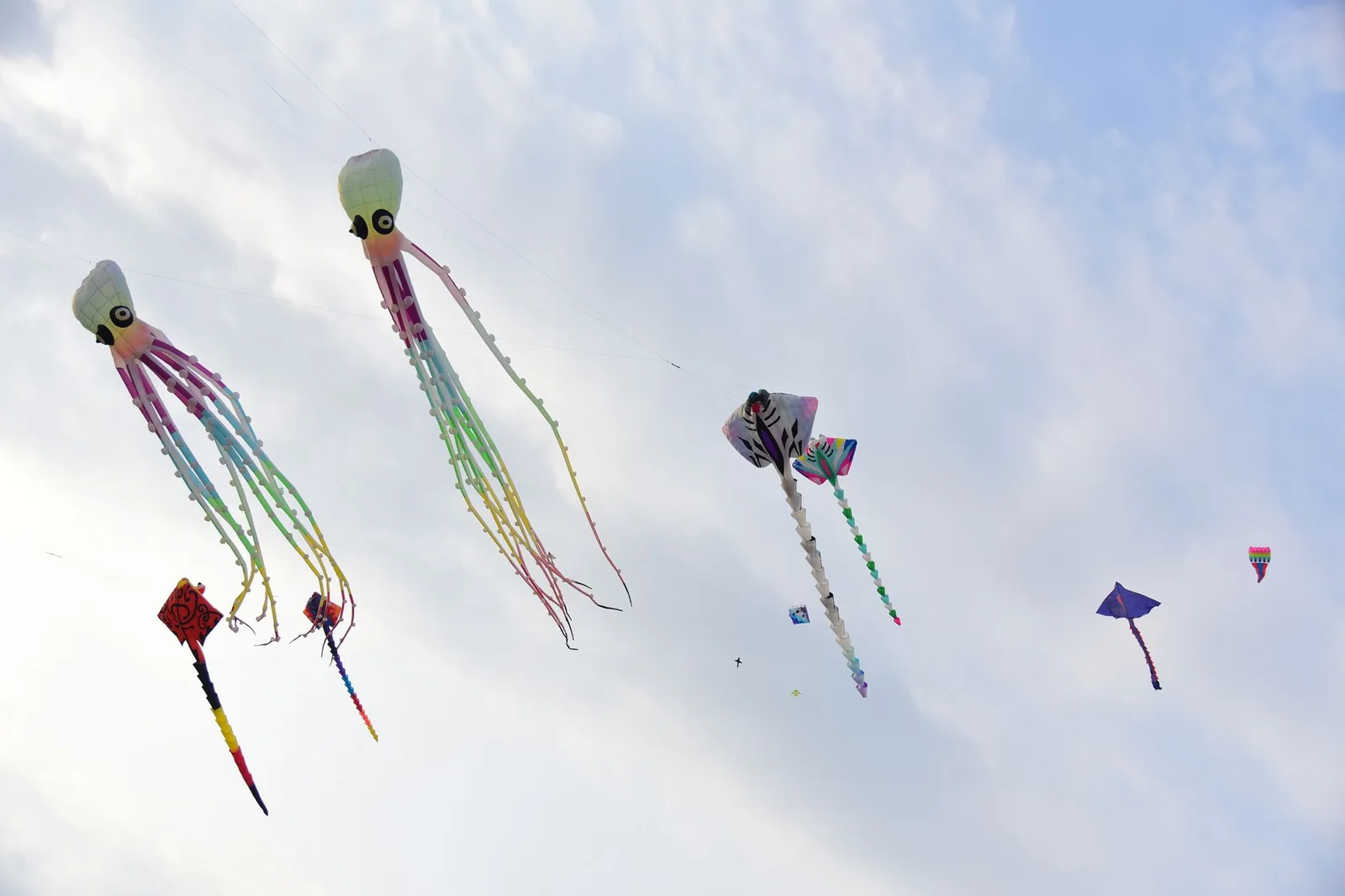 Cerfs-volants géants en forme de pieuvre et de raie flottant dans le ciel lors d'un festival de cerfs-volants