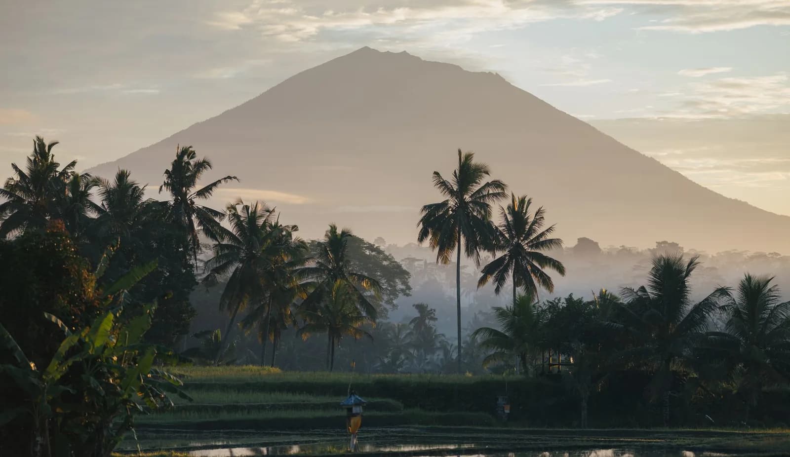 Le mont Agung émergeant de la brume au lever du jour, derrière les cocotiers et les rizières de l'est de Bali