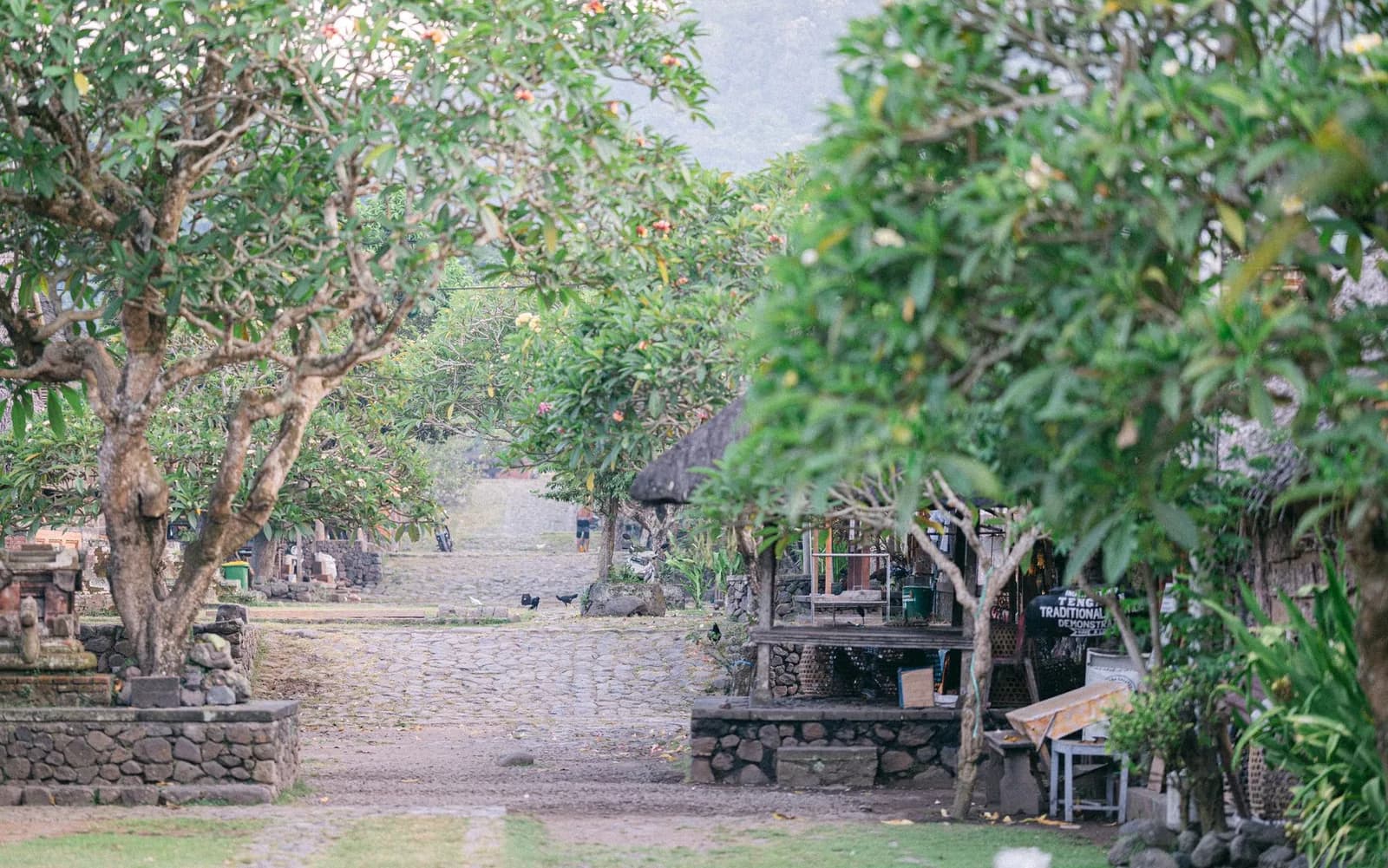 Ruelle pavée et maisons traditionnelles d'un village ancien de Bali