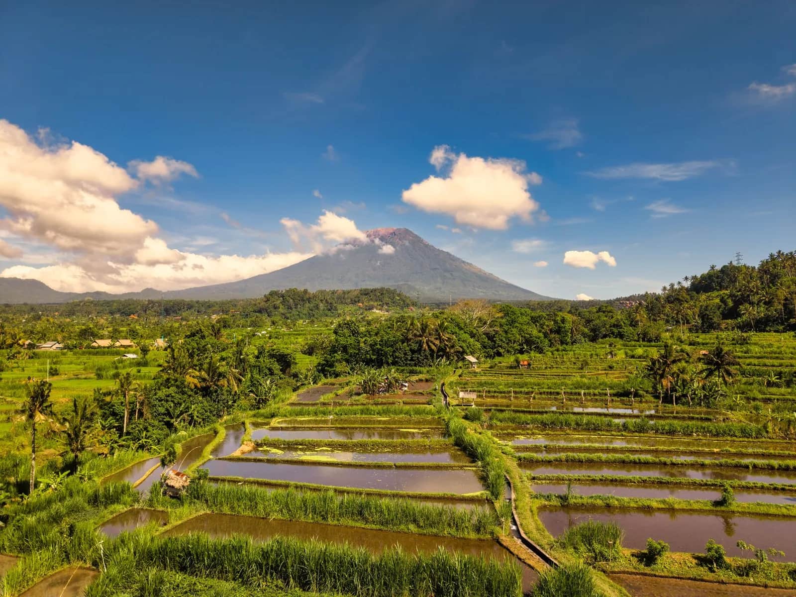 Rizières en terrasses de la vallée de Sidemen avec le mont Agung à l'horizon, est de Bali