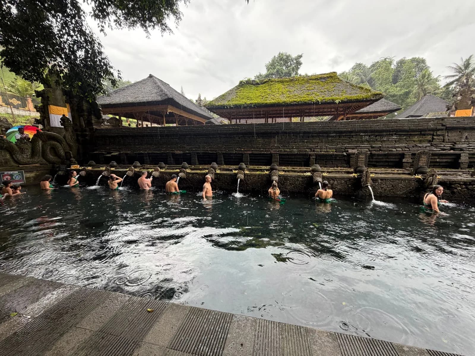 Fidèles en sarong vert alignés sous les fontaines du bassin de purification de Tirta Empul, Bali