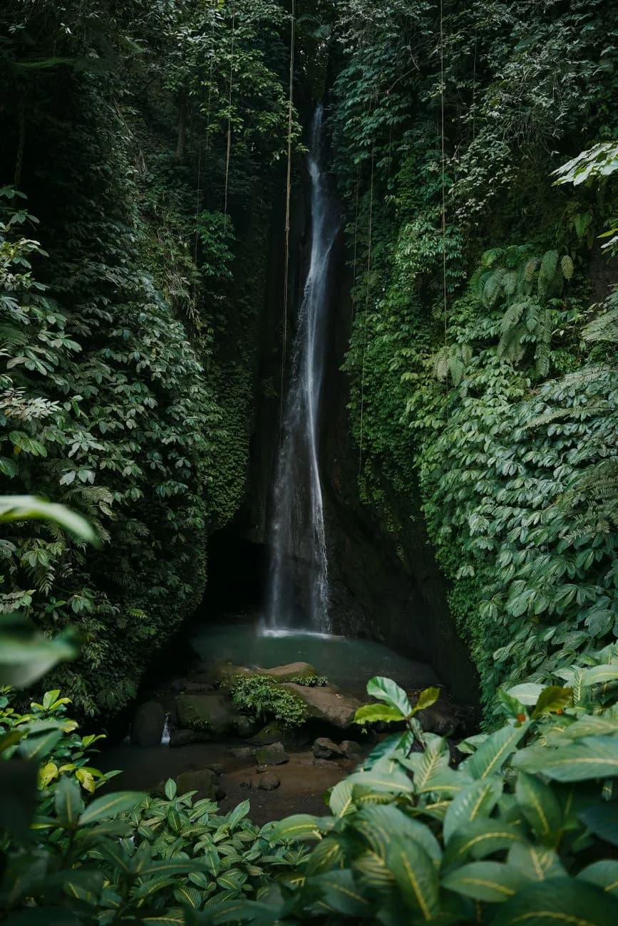 Une cascade dans la jungle des hautes terres du nord de Bali, près de Munduk, à combiner avec le temple d'Ulun Danu Beratan
