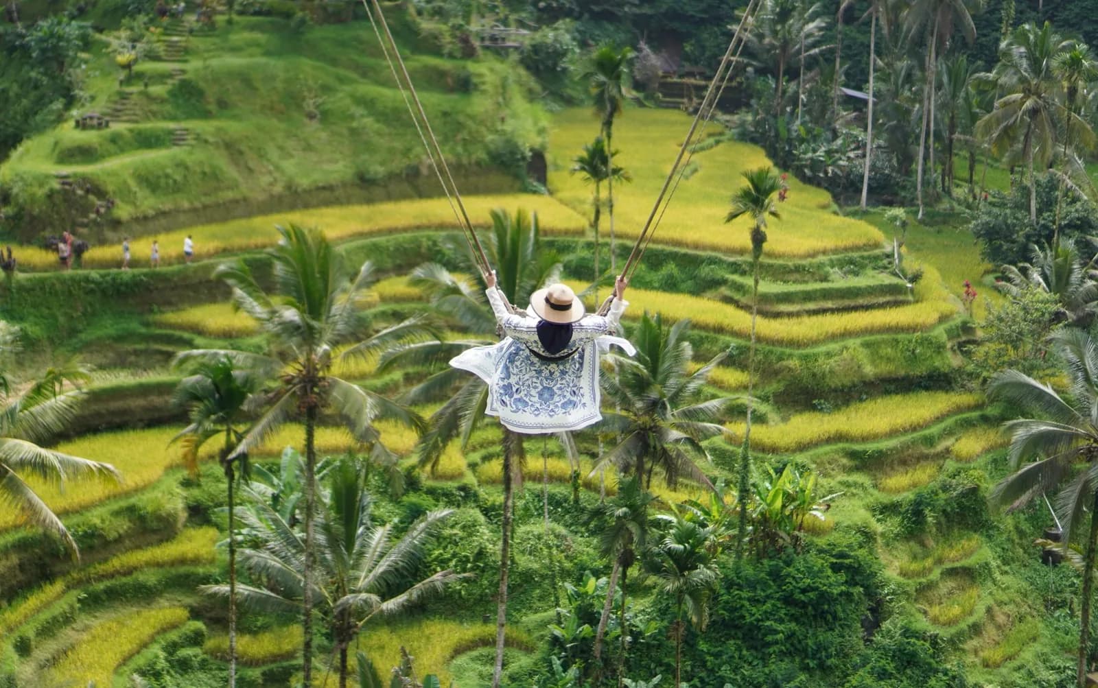 Balançoire géante au-dessus des rizières en terrasses de Tegallalang près d'Ubud à Bali, à réserver avec une excursion