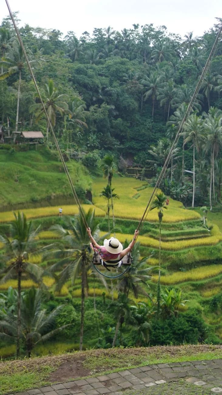 Voyageuse sur une balançoire géante Bali Swing au-dessus des rizières en terrasses de Tegallalang, près d'Ubud