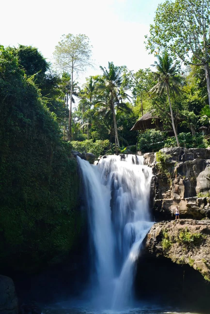 La cascade de Tegenungan et son large bassin, entourée de palmiers au sud d'Ubud à Bali