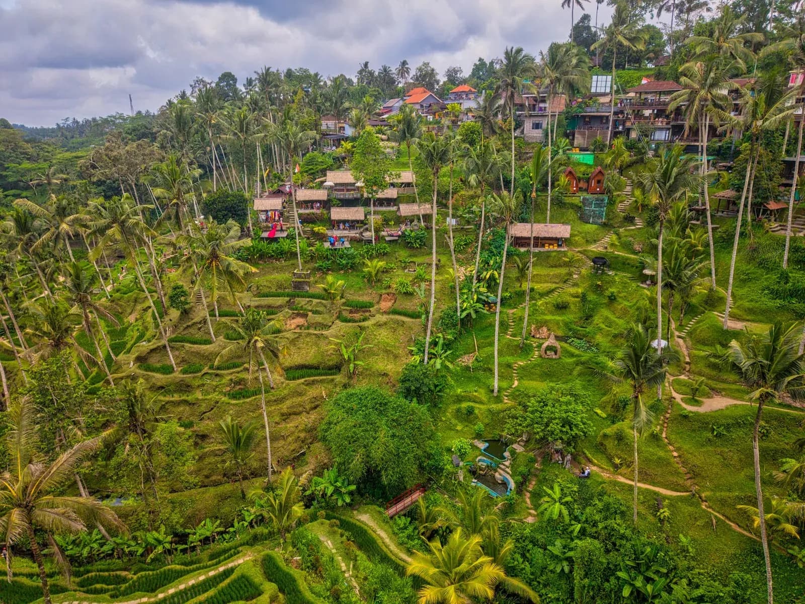 Rizières en terrasses de Tegallalang près d'Ubud à Bali, une étape classique après la forêt des singes