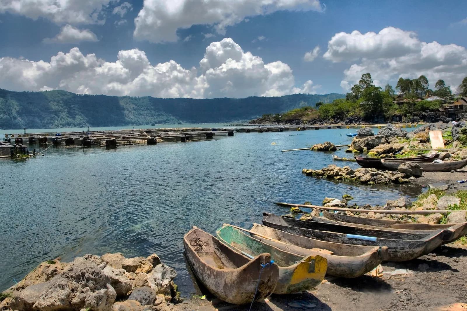 Pirogues de pêche et fermes à poissons sur la rive du lac Batur à Toya Bungkah, au pied du volcan, Bali